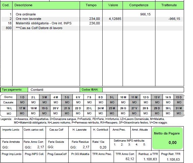 busta paga baby sitter e maternità